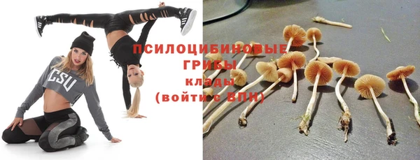 спайс Абинск