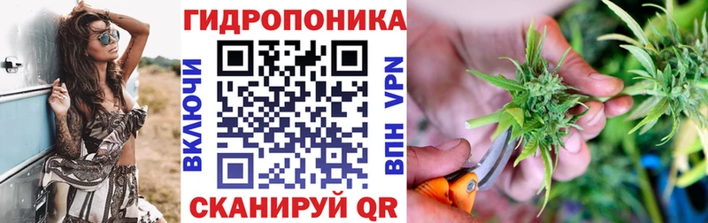 Каннабис Amnesia  сколько стоит  Сергач 